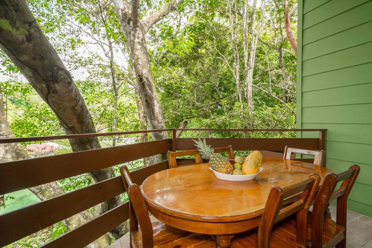 La Montanita Lodge Vườn quốc gia Vườn quốc gia Manuel Antonio Ngoại thất bức ảnh